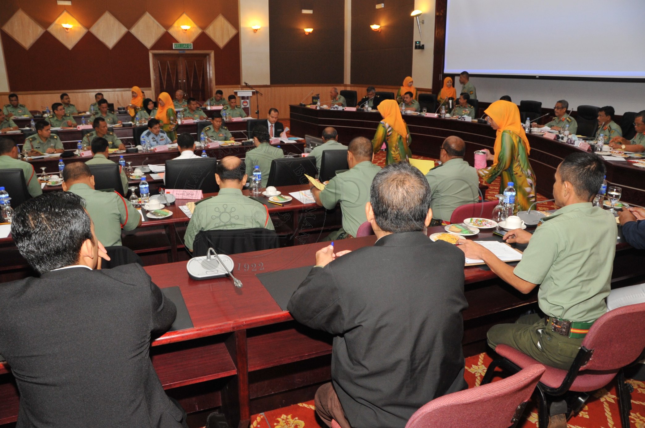 PRO 14 02 PALAPES PRO 2849